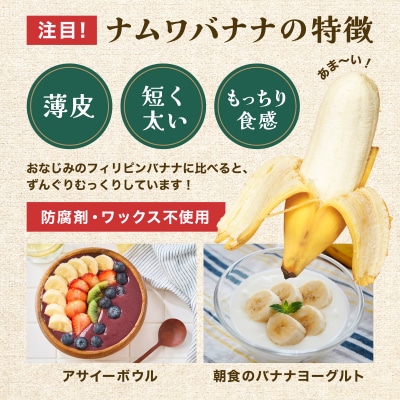 ≪2026年4～10月順次発送≫ 石垣島産 ナムワバナナ約1.5-2kg(12-20本)