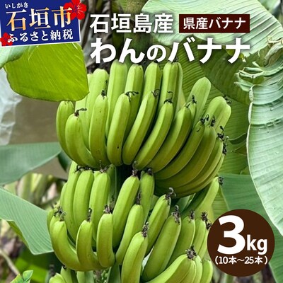 <わんのバナナ>石垣島産バナナ【沖縄県産バナナ】約3kg NA-06