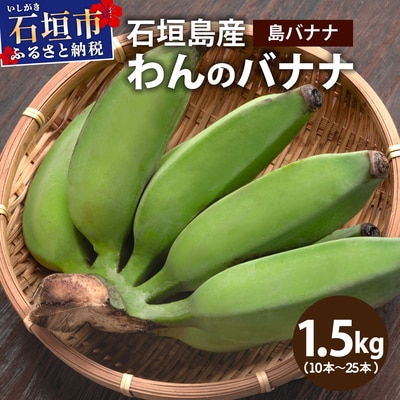 <わんのバナナ>石垣島産バナナ【島バナナ】 合計約1.5kg NA-07