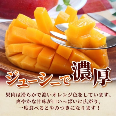 石垣島産マンゴー (アーウィン種) 約1.5kg (2~5玉) 家庭用 <2026年6月