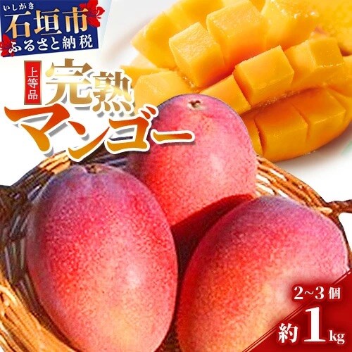 【先行受付】石垣島産 完熟マンゴー 約1kg エコ箱入り 2025年6月末〜7月下旬発送