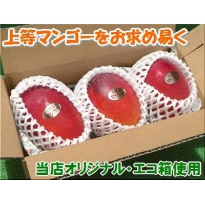 【先行受付】石垣島産 完熟マンゴー 約1kg エコ箱入り 2025年6月末〜7月下旬発送