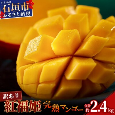 訳あり【2026年発送】「紅福姫ブランド」石垣島のマンゴー 約2.4kg