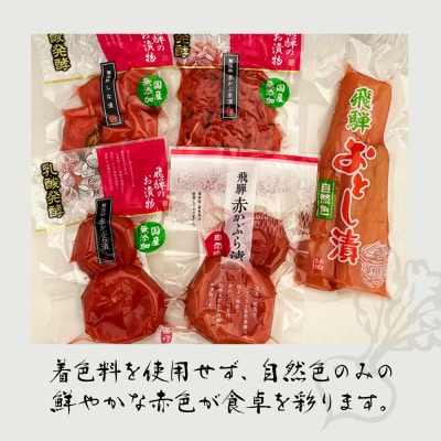 飛騨のお漬物 5種類セット 漬け物 飛騨 詰め合わせ【15-2】