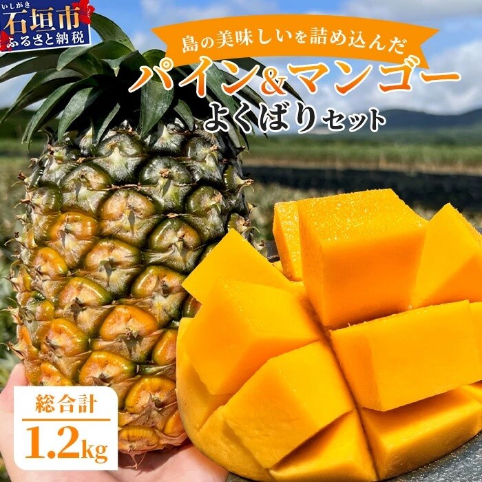 《2026年6月中旬以降発送》島の美味しいを詰め込んだ、パイン&マンゴーのよくばりセット!