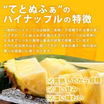 《2026年6月中旬以降発送》島の美味しいを詰め込んだ、パイン&マンゴーのよくばりセット!