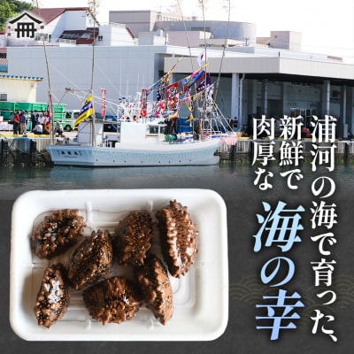 北海道浦河産カットなまこ(冷凍)200g×2P[06-1586]