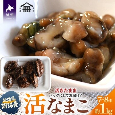 北海道浦河産『活なまこ』1kg※不在日・日付指定対応不可※[06-1591]