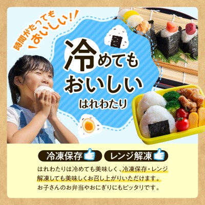 【令和7年産】青森県産「はれわたり」精米 5kg 【特A】五所川原市