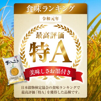 【令和7年産】青森県産「まっしぐら」精米 5kg 五所川原市