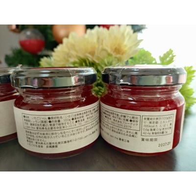 ながなわ農園のいちごジャム　美濃娘　100g×2瓶　数量限定【1107】