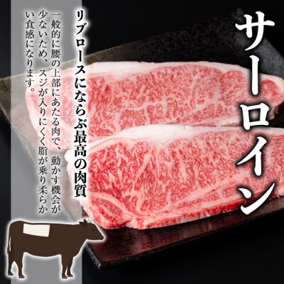 鹿児島和牛サーロインステーキ 合計400g