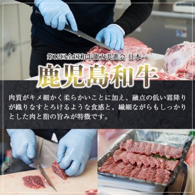 鹿児島和牛モモステーキ 合計450g