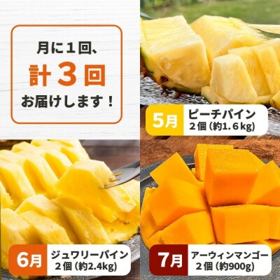 《2026年5月～7月順次発》島のおいしいを贅沢に!パイナップル2種とマンゴー1種のよくばり定期便