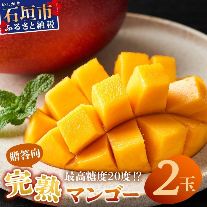 【先行受付】《2026年6月下旬～7月下旬発送》完熟の極!石垣島マンゴー 2玉約900g【贈答向け】