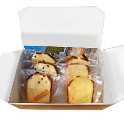 シークワーサーパウンドケーキ チョコチップありなし 各3個 計6個セット お菓子【R01333】