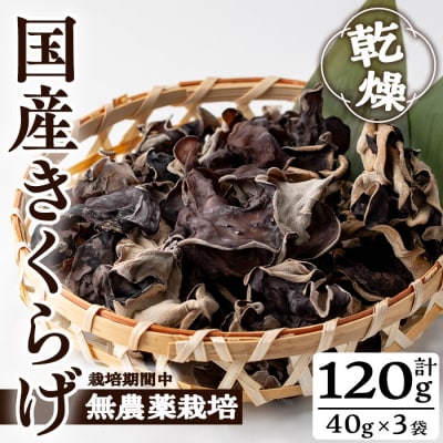 国産きくらげ (40g×3袋)