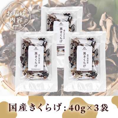 国産きくらげ (40g×3袋)