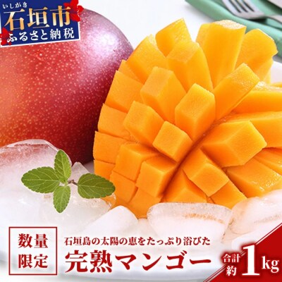 【2026年発送 先行予約】とろける完熟マンゴー 石垣島産 約1kg