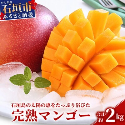 【2026年発送 先行受付】石垣島のマンゴー 約2kg 
