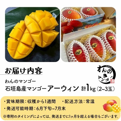 <わんのマンゴー>石垣島産マンゴー アーウィン種 合計1kg <2026年4月以降発送>