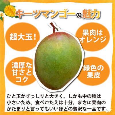 <わんのマンゴー>石垣島産マンゴー【キーツ】NA-05