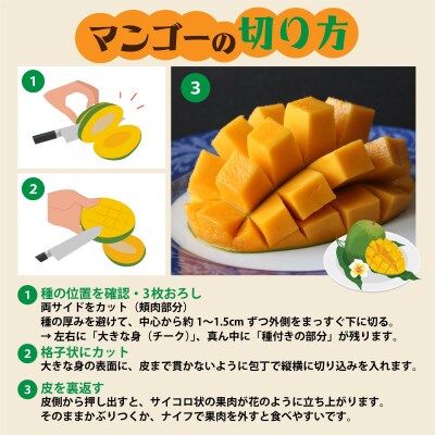 <わんのマンゴー>石垣島産マンゴー【キーツ】NA-05