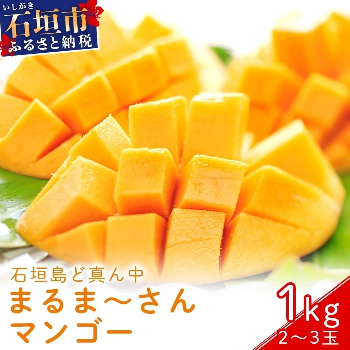 <先行予約>まるま～さん マンゴー 1kg (2～3玉) ≪2026年7月頃より順次発送予定≫