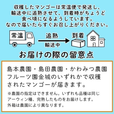 <先行予約>まるま～さん マンゴー 1kg (2～3玉) ≪2026年7月頃より順次発送予定≫