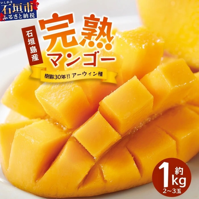 《2026年7月以降より順次発送》石垣島産 マンゴー (アーウィン種) 約1kg(2～3玉) 