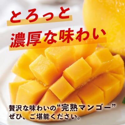 《2026年7月以降より順次発送》石垣島産 マンゴー (アーウィン種) 約1kg(2～3玉) 