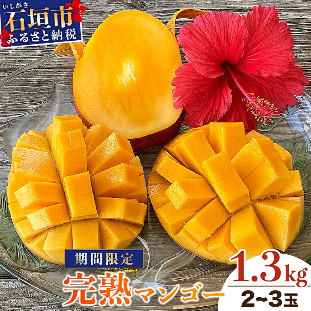 【先行受付】マンゴー(アーウィン種) 2～3玉【約1.3kg】