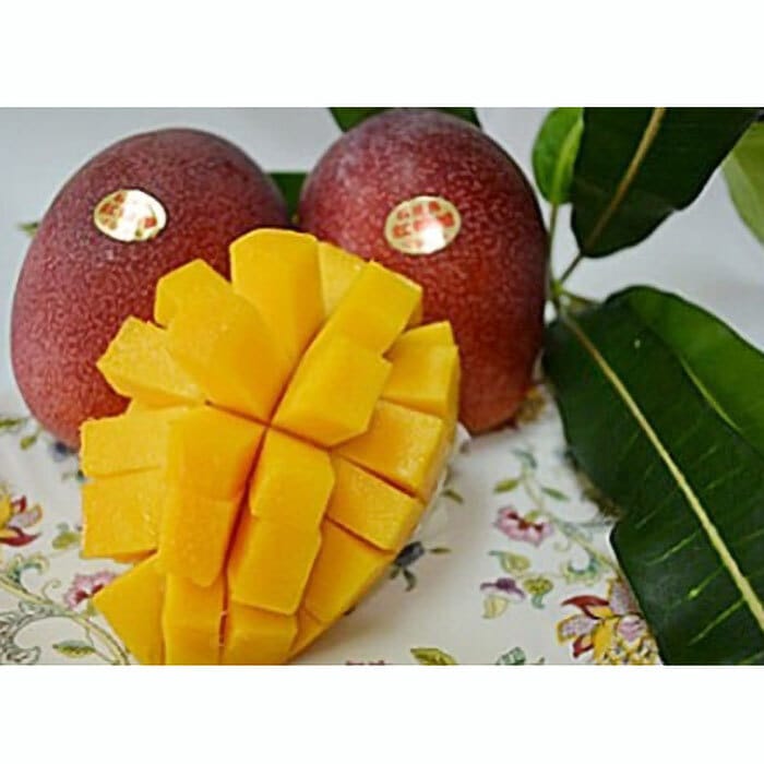 【先行受付】マンゴー(アーウィン種) 4～5玉 約2.4kg