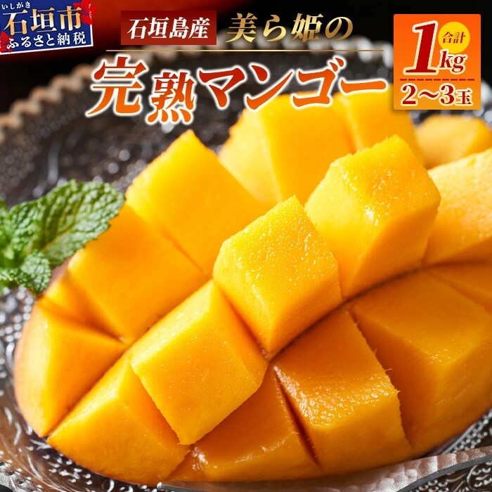 [先行受付]美ら姫マンゴー1kg(完熟・アーウィン種)≪2026年7月中旬～順次発送≫