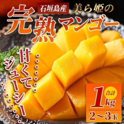 [先行受付]美ら姫マンゴー1kg(完熟・アーウィン種)≪2026年7月中旬～順次発送≫