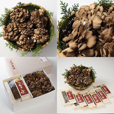 飛騨舞茸と佃煮のセット マイタケ まいたけ 新鮮 こだわり【60-1】