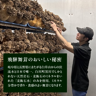 飛騨舞茸と佃煮のセット マイタケ まいたけ 新鮮 こだわり【60-1】