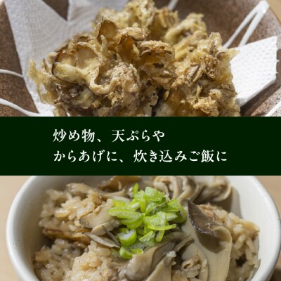 飛騨舞茸と佃煮のセット マイタケ まいたけ 新鮮 こだわり【60-1】