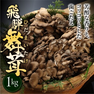 訳あり(簡易包装)飛騨舞茸 1kg マイタケ まいたけ【60-2】