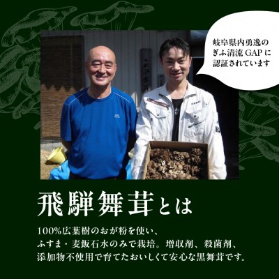 訳あり(簡易包装)飛騨舞茸 1kg マイタケ まいたけ【60-2】