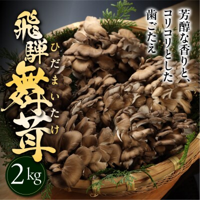 訳あり(簡易包装)飛騨舞茸 2kg マイタケ まいたけ【60-3】