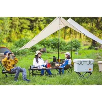 テント タープ タープテント ヘキサタープ ベージュHT-440