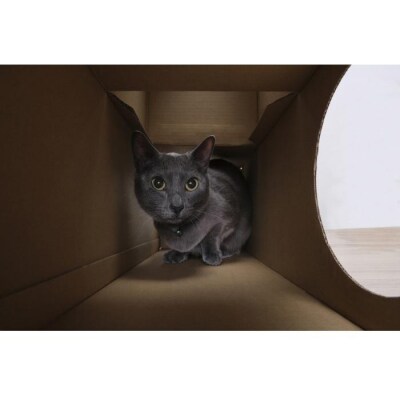 ねこねこトンネル　フルセット P-NTF