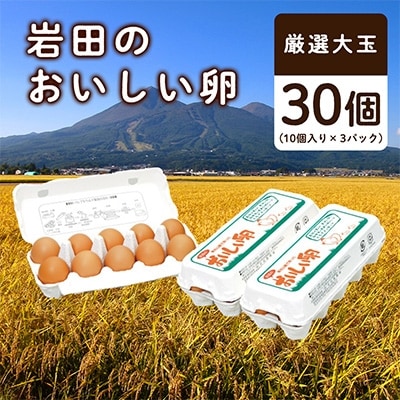 【2023年4月上旬発送】岩田のおいしい卵厳選大玉30個(10個入り×3パック)