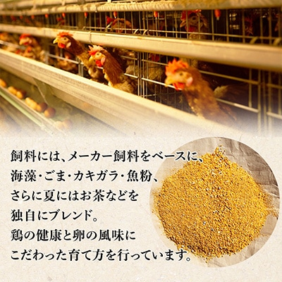 岩田のおいしい卵実用中玉25個+破卵保障5個(10個入り×3パック)