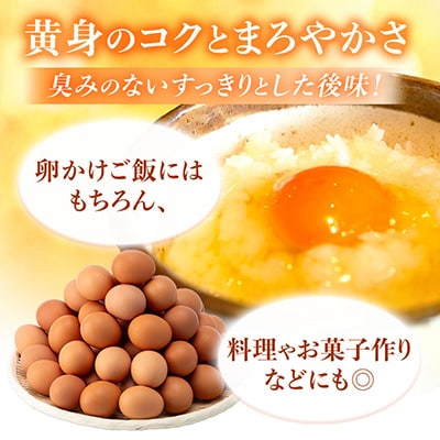 岩田のおいしい卵実用中玉25個+破卵保障5個(10個入り×3パック)