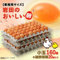 【業務用サイズ】岩田のおいしい卵小玉160個+破卵保障20個入り | ふるさと納税のお礼品