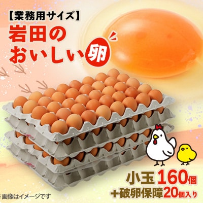 【業務用サイズ】岩田のおいしい卵小玉160個+破卵保障20個入り