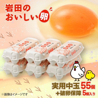 【毎月定期便】岩田のおいしい卵　実用中玉55個+破卵保障5個 (10個入り×6パック)全3回