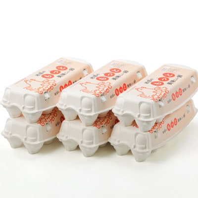 【毎月定期便】岩田のおいしい卵　実用中玉55個+破卵保障5個 (10個入り×6パック)全3回